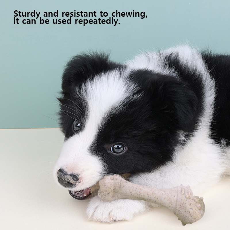 Teeth Cleaning Dog Chew Bone - Mainan Hewan Peliharaan 12 cm, Tulang
