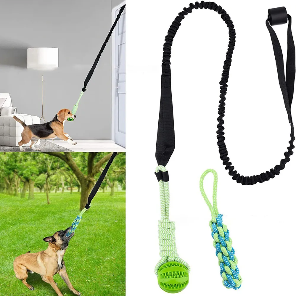 Suction Cup Dog Tug Toy - Mainan Anjing Interaktif Tarik Perang Tali