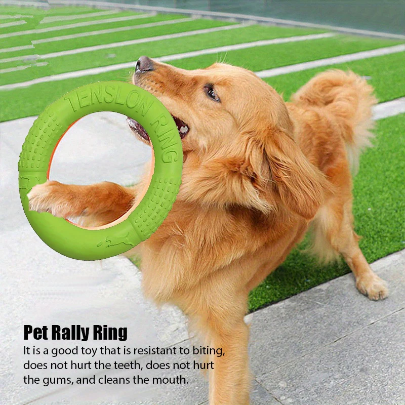Mainan pelatihan anjing cakram - Flying Disc Dog Training Toy ulasan dan harga
