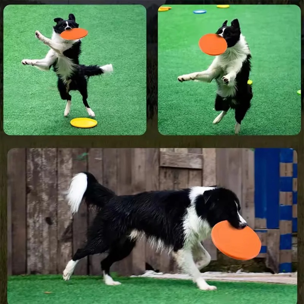 Mainan Anjing Terapung TPR, Di - Flying Disc Dog Training Toy ulasan dan harga