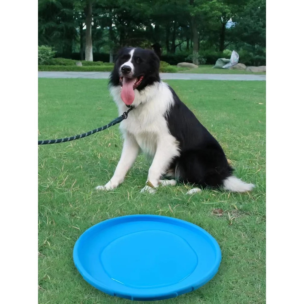 Mainan Anjing Terapung TPR, Di - Flying Disc Dog Training Toy ulasan dan harga