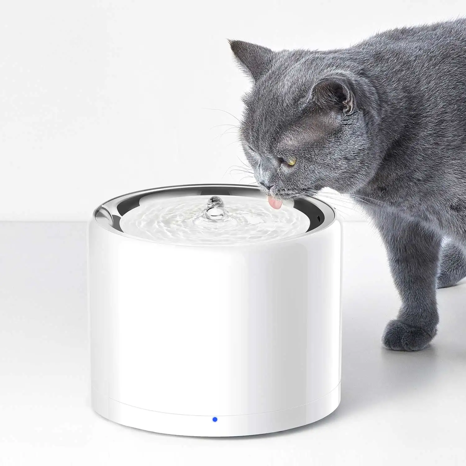 CANBOUN EVERSWEET Series Pet S - Pet Feeders ulasan dan harga