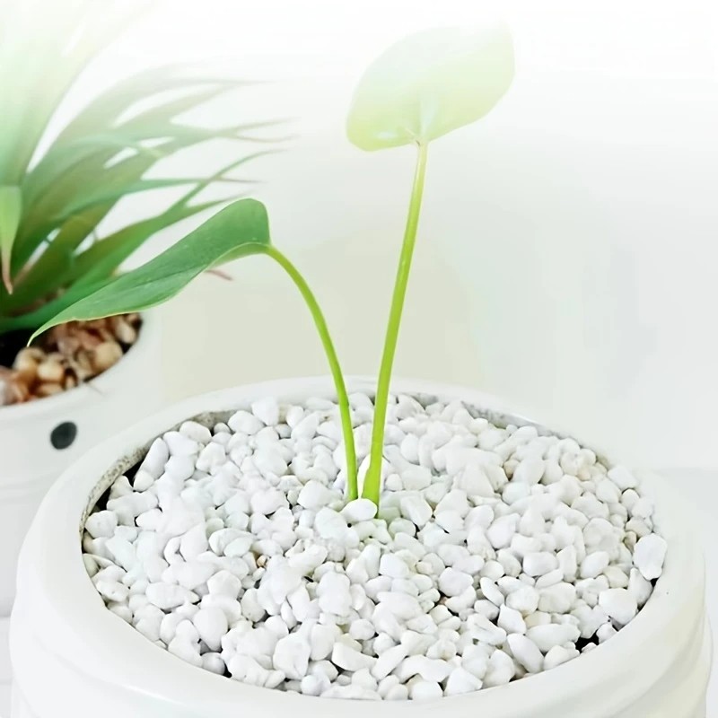 1L Kualitas Tinggi Perlite Ang - Pet Beds ulasan dan harga