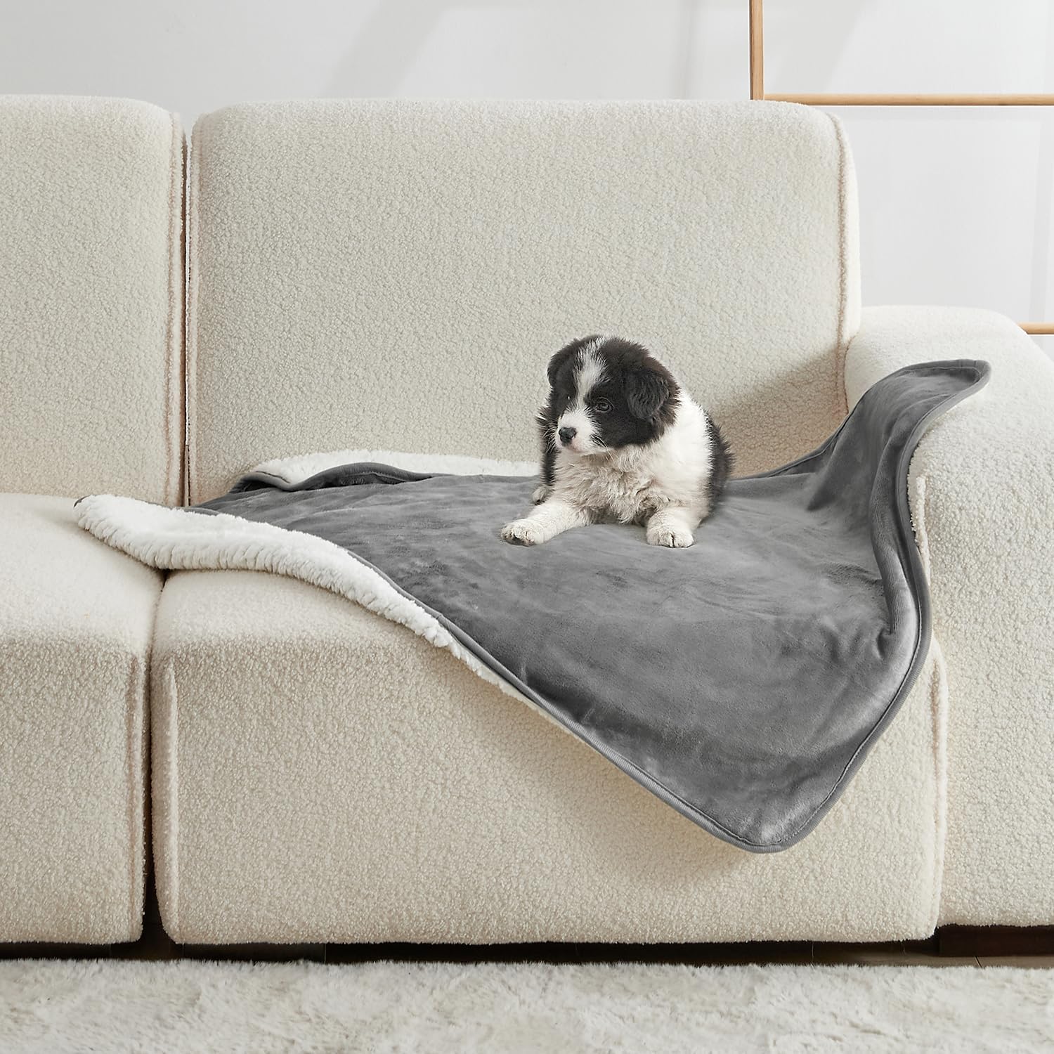 Selimut Hewan Peliharaan Warna - Pet Beds ulasan dan harga