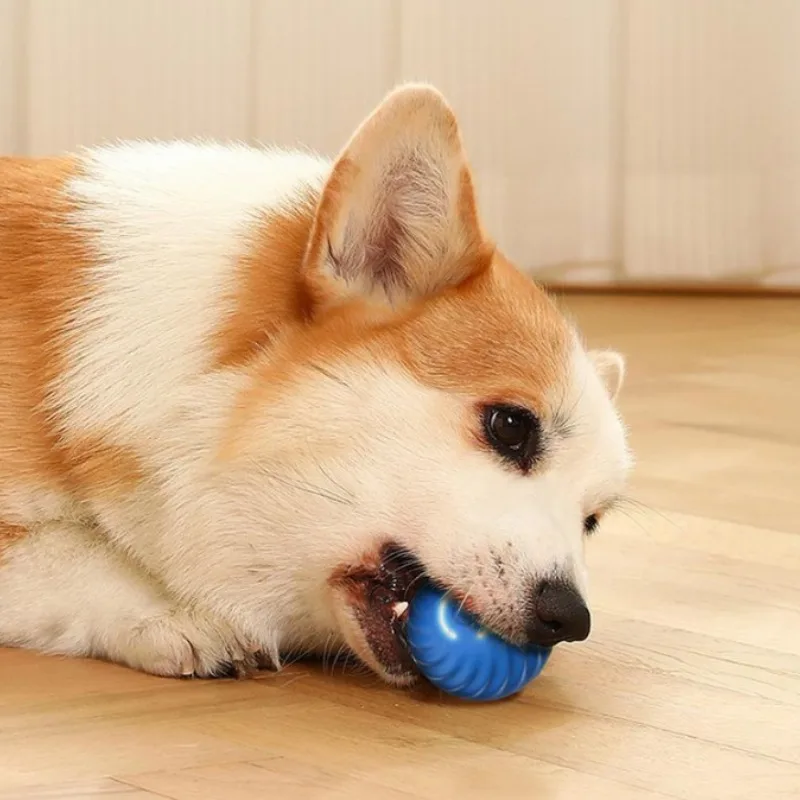 @1G-Bola Mainan Hewan Pelihara - Automatic Moving Dog Ball ulasan dan harga