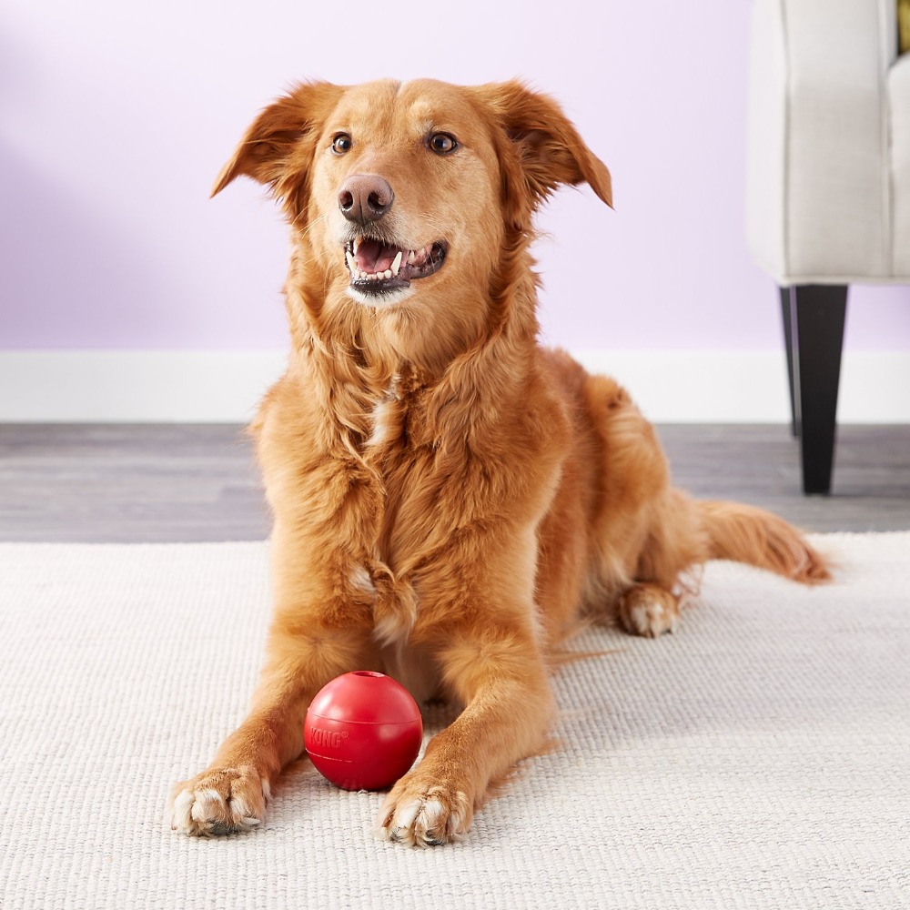 Mainan Anjing KONG Ball M/L - Indestructible Dog Chew Toy ulasan dan harga